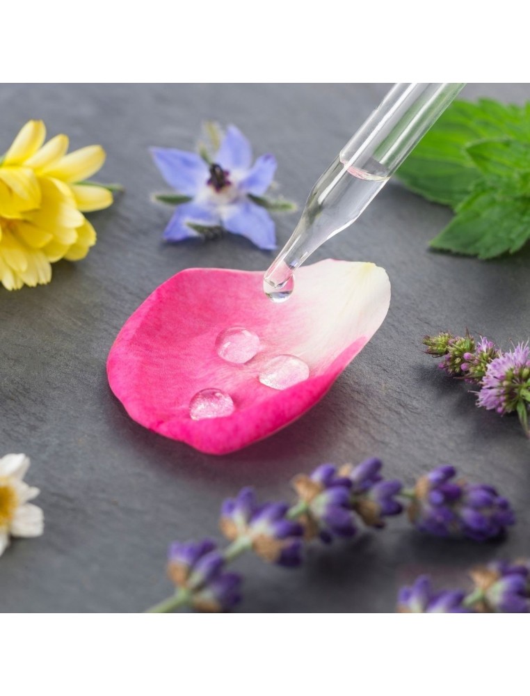 Atelier eaux florales ou hydrolats