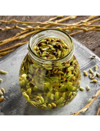 Atelier gemmothérapie