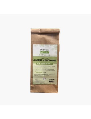 Gomme de xanthane 20g Propos'Nature