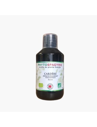 Cardère phytospagyrie 300ml