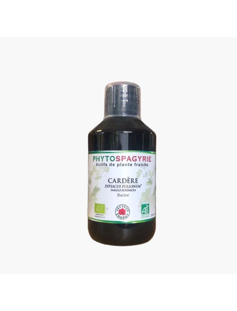 Cardère phytospagyrie 300ml