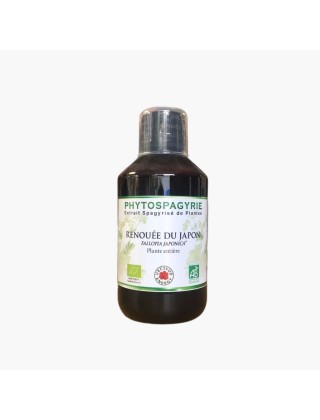 Renouée du Japon Phytospagyrie 300ml Vecteur Energy