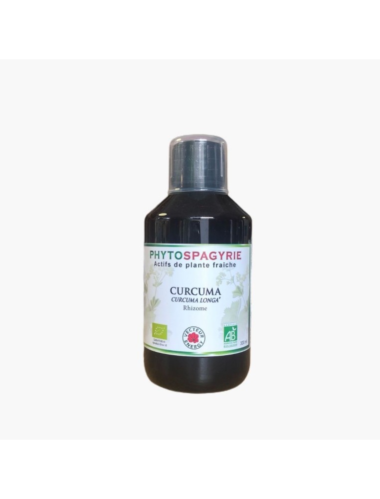 Curcuma Phytospagyrie 300 ml Vecteur Energy