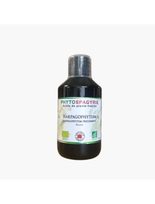 Harpagophytum Phytosoagyrie 300ml Vecteur Energy