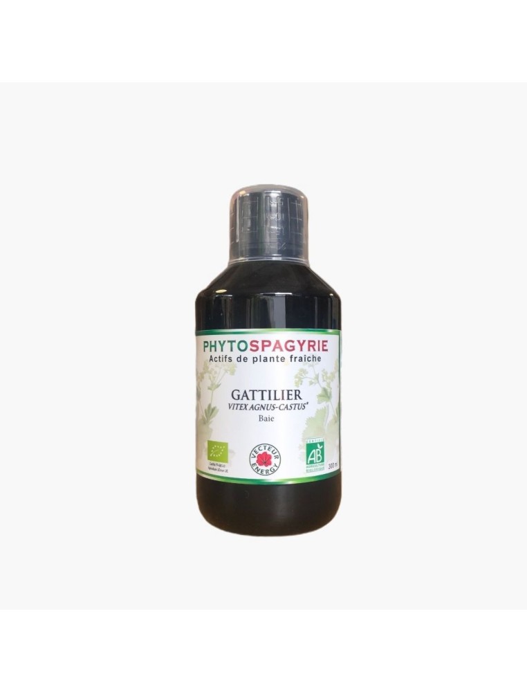 Gattilier Phytospagyrie 300ml Vecteur Energy