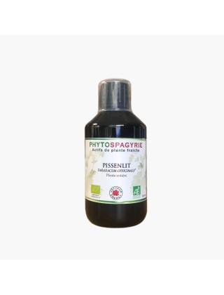 Pissenlit Phytospagyrie Vecteur Energy
