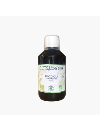 Rhodiola Phytospagyrie  Phytothérapie Herbier du Velay