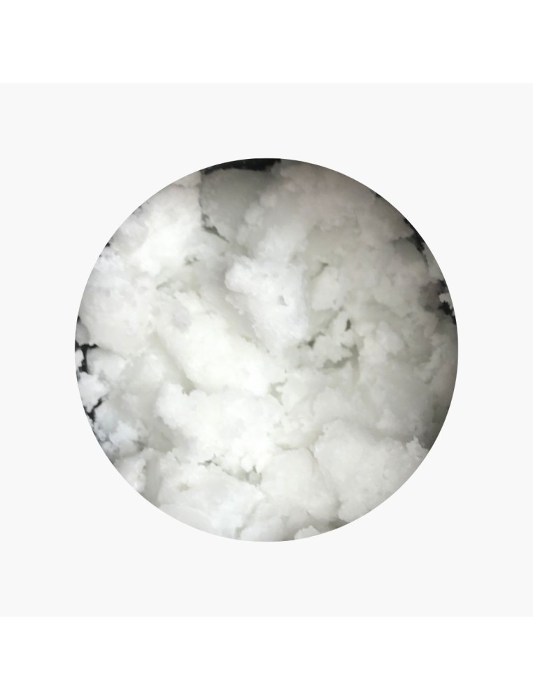 Huile végétale de coco BIO 36 €/kg