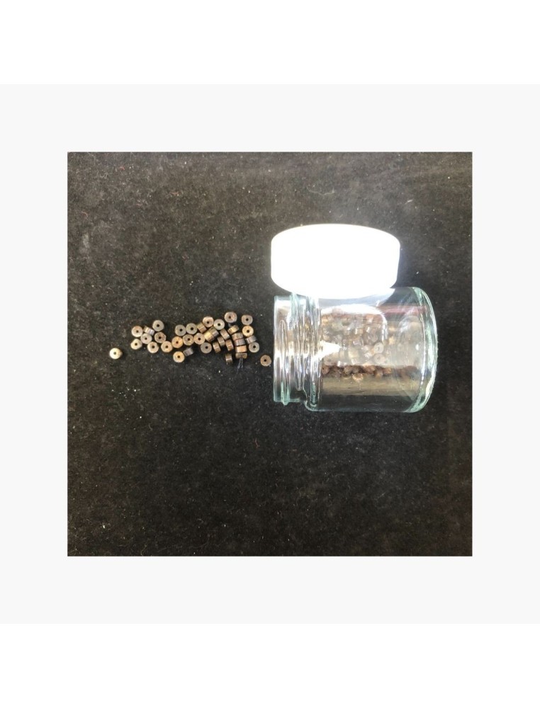 Perles Bronzite 2 x 4 mm