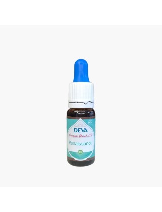 N°19 Renaissance Deva