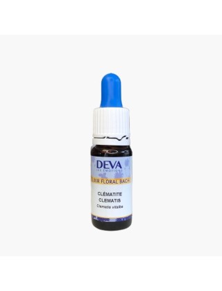 Fleurs de Bach Clématite  / Clematis BIO
