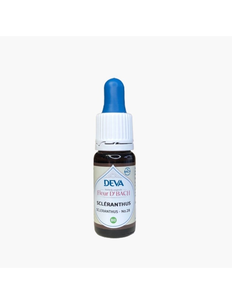 Fleur de Bach Scléranthe / Sclérantus BIO
