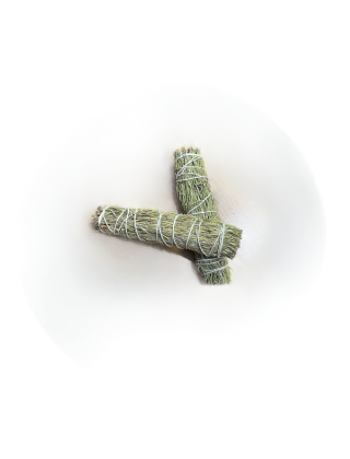 bâton de romarin pour fumigation