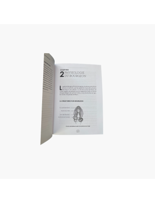 la gemmotherapie Laurine Pineau bourgeons