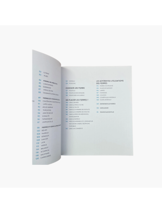 livre Pierres de bien-être - Martine Pelloux - Hachette