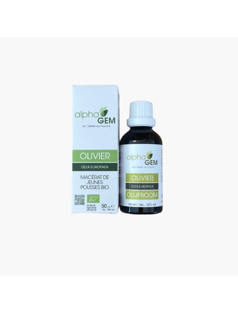 Gemmothérapie olivier Alphagem