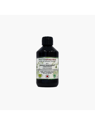 Phytospagyrie amincissement Vecteur energy