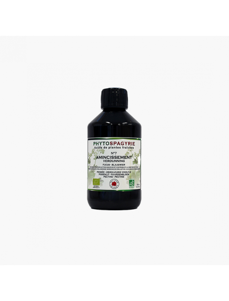 Phytospagyrie amincissement Vecteur energy