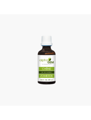 chêne gemmotherapie alphagem