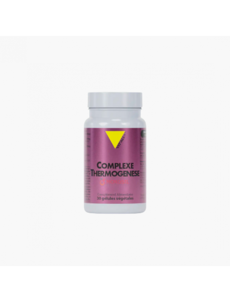 Complexe thermogenèse avec morosil - vitall+