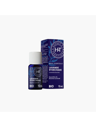 lavande stoechade papillon herbes & traditions
