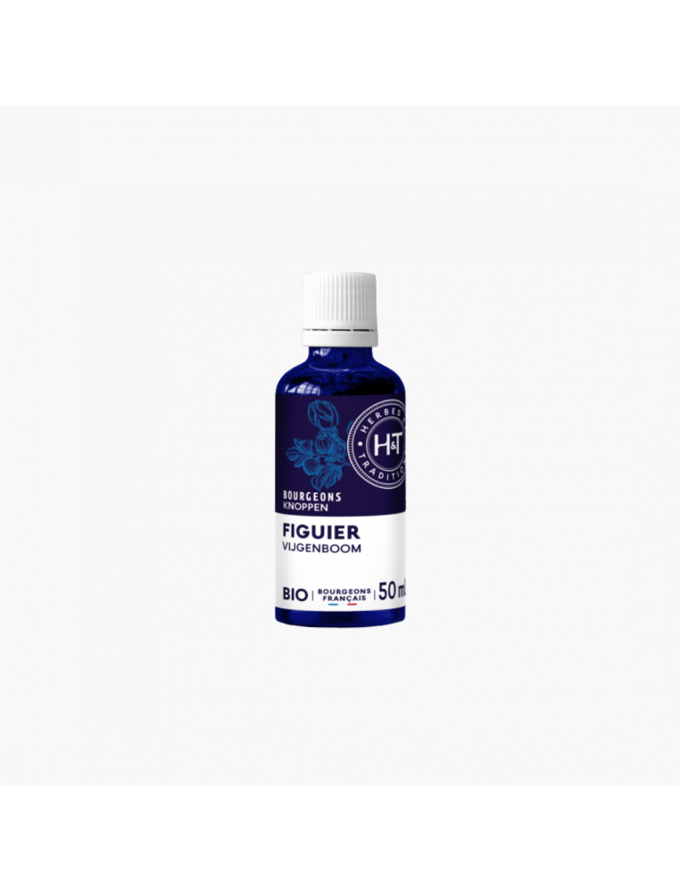 Gemmothérapie - Figuier - 50ml - Herbes et Traditions