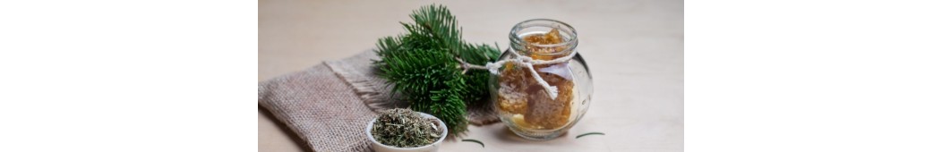 Retrouvez tous nos produits de phytothérapie et de mycothérapie