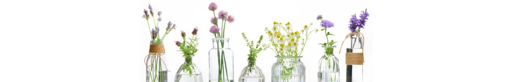 Hydrolats et eaux florales