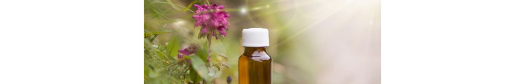 Les élixirs floraux du Dr Bach