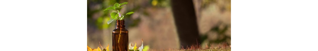 Les élixirs contemporains