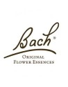 BACH